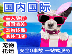 南通机场快递国际宠物托运 【国